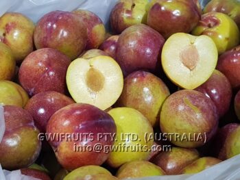 Plum - Image 5
