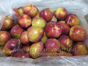 Plum - Image 6