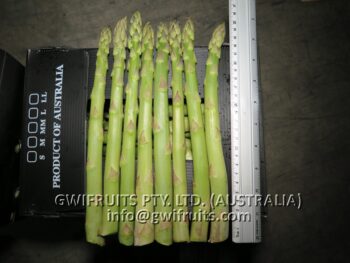 Asparagus - Image 2