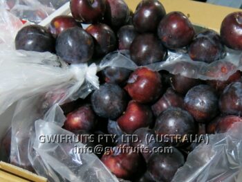 Red Plum - Image 2