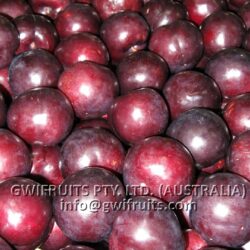 Red Plum