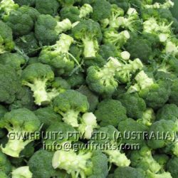 Broccoli