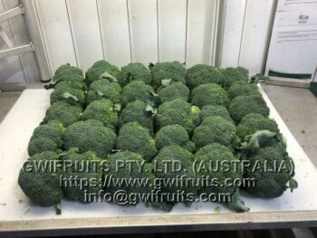 Broccoli - Image 4