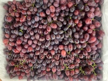Seedless Grape (RED) - Image 2