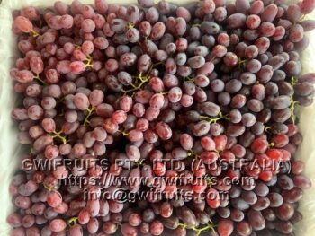 Seedless Grape (RED) - Image 3