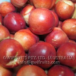 Nectarine