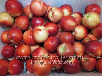Nectarine - Image 4