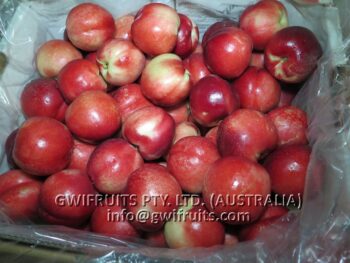 Nectarine - Image 5
