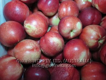 Nectarine - Image 6
