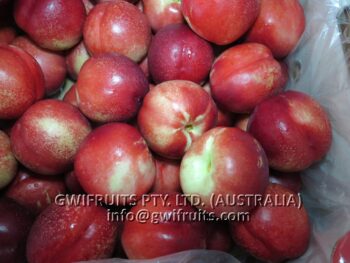 Nectarine - Image 2