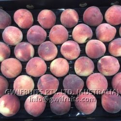 Peach