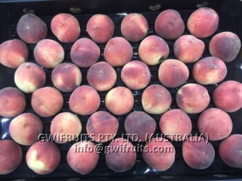 Peach