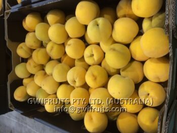 Yellow Peach - Image 3