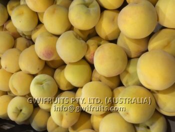 Yellow Peach - Image 2