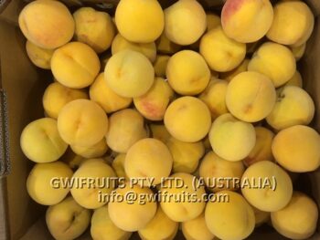 Yellow Peach