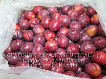 Plum - Image 7