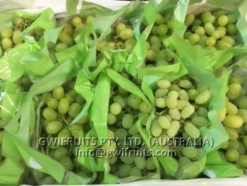 Seedless Grape (White) - Image 5