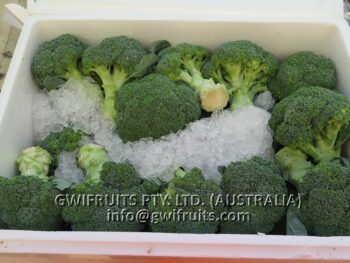 Broccoli - Image 3